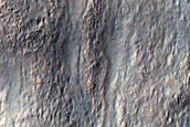 Sedimentary Fans in Crater
