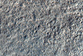 Possible Early Form of Gullies Preserved in Mantle Deposits
