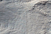 Gully Monitoring
