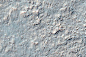 Terrain Sample
