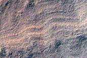 South Polar Residual Cap Intraseasonal Change Monitoring
