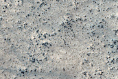 Terrain Sample
