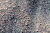 Polar Gullies
