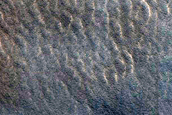 Gullies on Mesa
