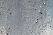 Gully Monitoring
