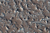 Lava Flow Field
