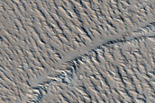 Terrain Sample
