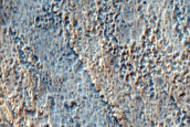 Possible Olivine-Rich Plains in Terra Sirenum
