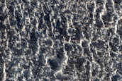 Flows in the Aeolis Mensae
