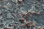 Rocky Ground
