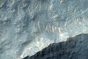 Possible Olivine in Terra Sirenum
