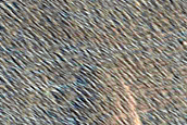 Pits Near Arsia Mons
