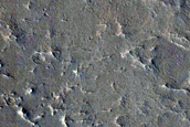 Circular Feature with Radial and Circumferential Ridges
