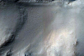 Gully Monitoring
