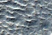 Gullies and Lobes in Crater in Terra Sirenum

