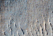 Dunes in Hellas Planitia
