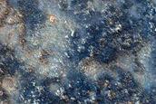 Terrain Sample
