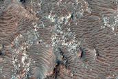 Terrain Sample
