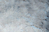 Terrain Sample
