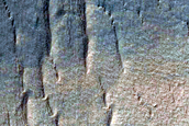 Gullied Crater Wall
