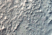 Terrain Sample
