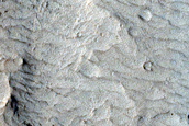 Floor of Nicholson Crater
