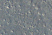 Potential Landing Site in Phlegra Montes
