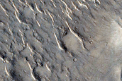 Pitted Cones in Isidis Planitia
