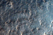 Greater Hellas Region Scarp or Crater
