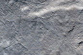 Gully Monitoring
