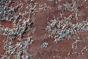 Ejecta from Holden Crater
