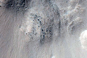 Gully Monitoring
