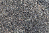 Northern Plains Textures
