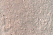 Gully Monitoring
