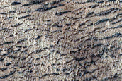 Dust Boundary on Olympus Maculae
