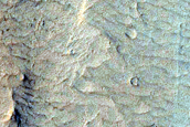 Floor of Nicholson Crater
