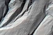 Gully Monitoring
