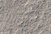 Possible Olivine-Rich Terrain
