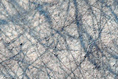 Southern Highlands Terrain
