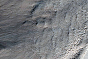 Gully Monitoring
