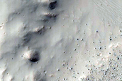 Gully Monitoring
