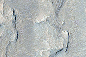 Terrain Sample
