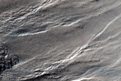 Gully Monitoring
