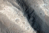 Lycus Sulci
