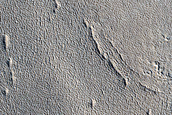 Impact Monitoring in Arcadia Planitia
