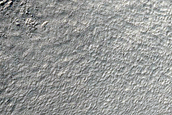 Terrain Sample
