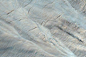 Gullied Lobate Flow Features
