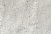 Gully Monitoring
