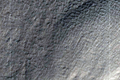 Possible Sedimentary Clays
