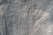 Gully Monitoring

